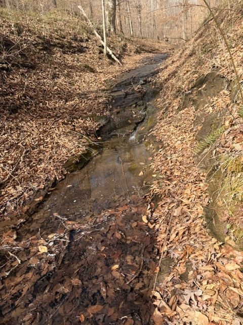 1013 Valencia Ct, Ashland City TN 37015